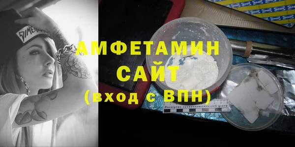 прущие грибы Балахна