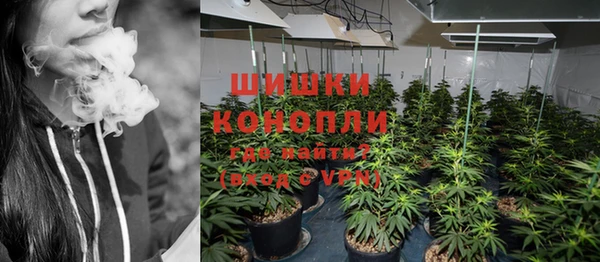 прущие грибы Балахна