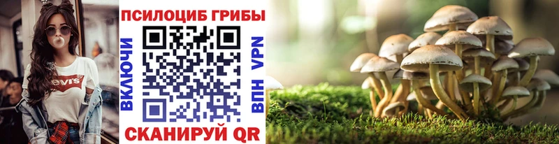 сайты даркнета официальный сайт  блэк спрут ONION  Барабинск  хочу   Галлюциногенные грибы Psilocybine cubensis 