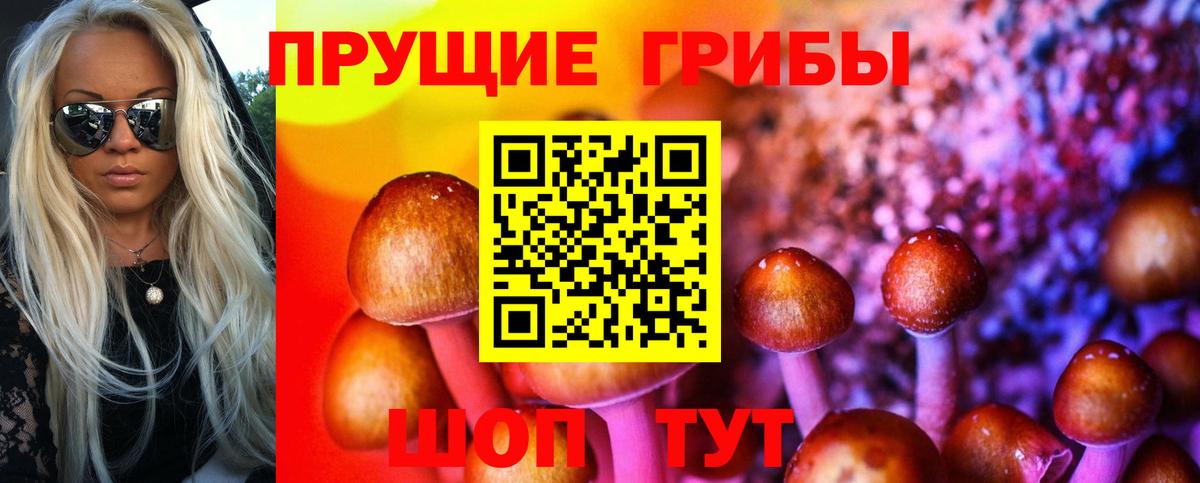 купить  цена  Галлюциногенные грибы MAGIC MUSHROOMS  Вход с VPN  Барабинск 